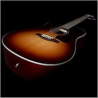 Vista 4 de SEAGULL Entourage Otoño Burst Presys II