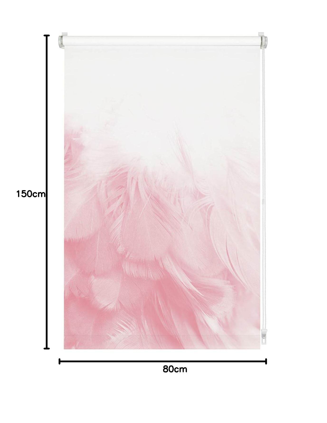 Gardinia Enrouleur Digiprint Boa à Plumes, Fixation par Serrage, Store à lumière du Jour avec Impression numérique, Opaque, Toutes Les pièces de Fixation incluses, Blanc/décor, 80 x 150 cm (lxH)