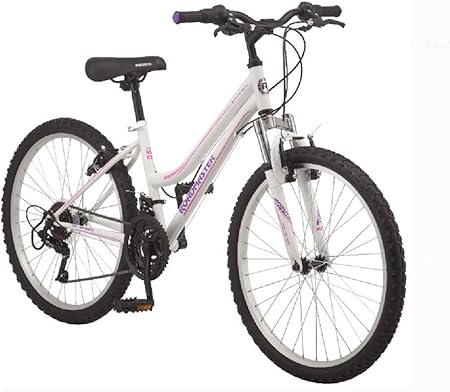 Bici roadmaster Clearance