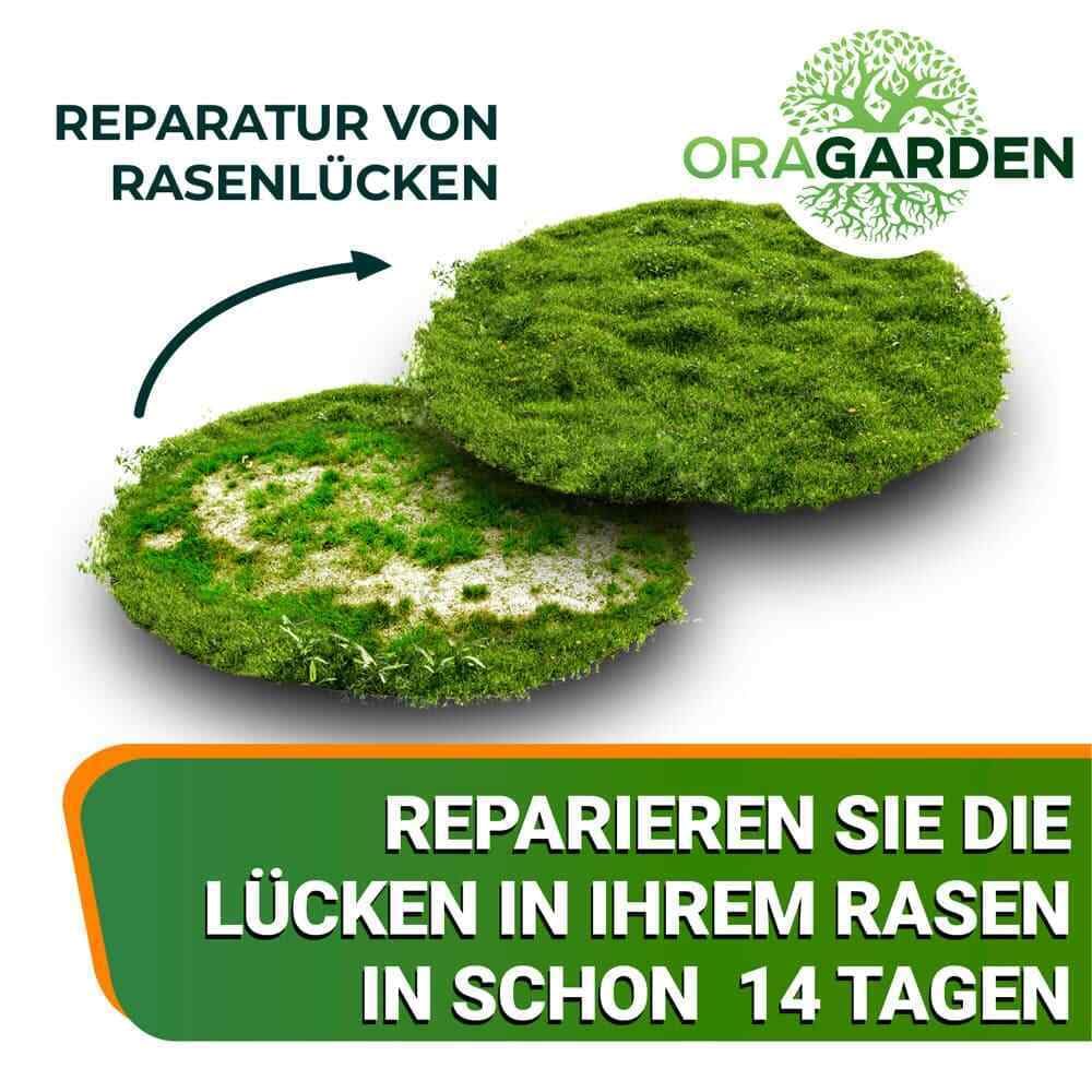 ummantelte Rasenpellets Regenerationsrasen für Schnellkeimenden – Rasensamen für Robusten und Widerstandsfähigen Rasen Plus (10 kg)