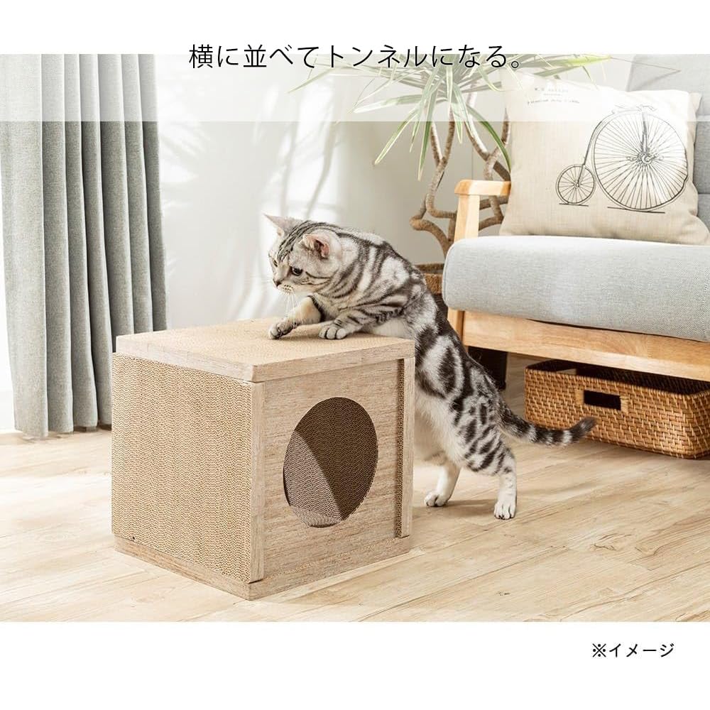 Amazon | カインズ(CAINZ) ボックススタイルスクラッチャー 幅30cm