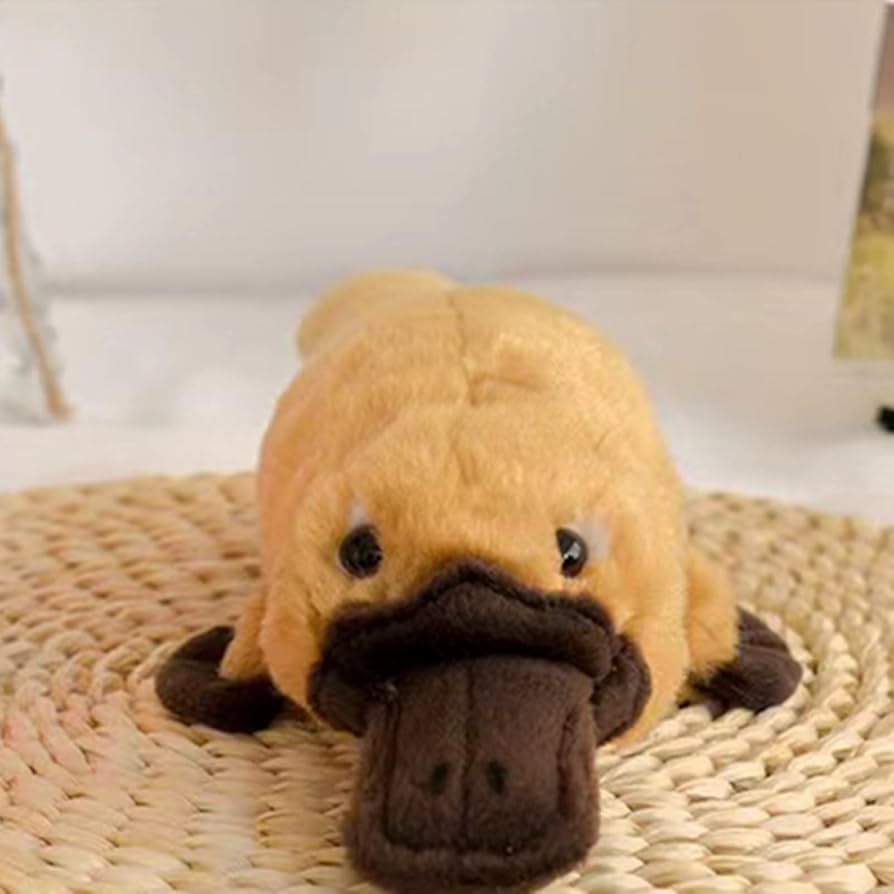 BanMof 作家様 カモノハシ ぬいぐるみ ハンドメイド BanMof 作家様 カモノハシ ぬいぐるみ ハンドメイド - メルカリ