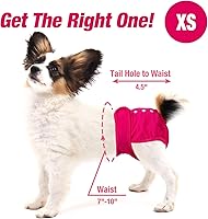 Vista 42 de Pet Soft Washable Female Diapers (3 Pack) Female Dog Diapers, Comfort Reusable Doggy Diaper for Girl Dog in Period Heat (Sprightly, XS)