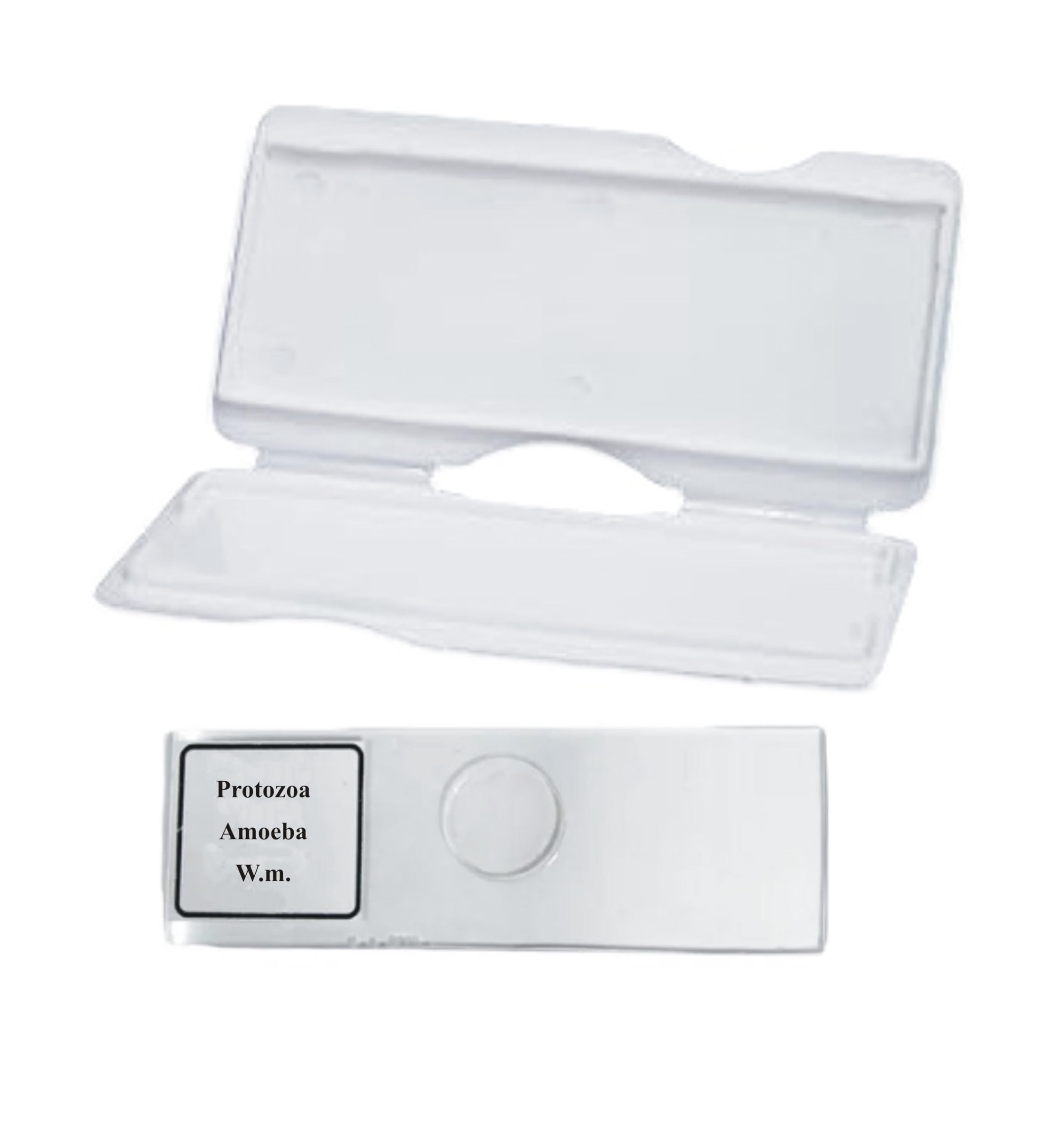 AI-Amoeba Prepared Slide/for Microscope Slide/Used for Laboratory Microscope/Biology Lab Equipment/Used for Pathology lab/Scientific and Laboratory Product-picture-30