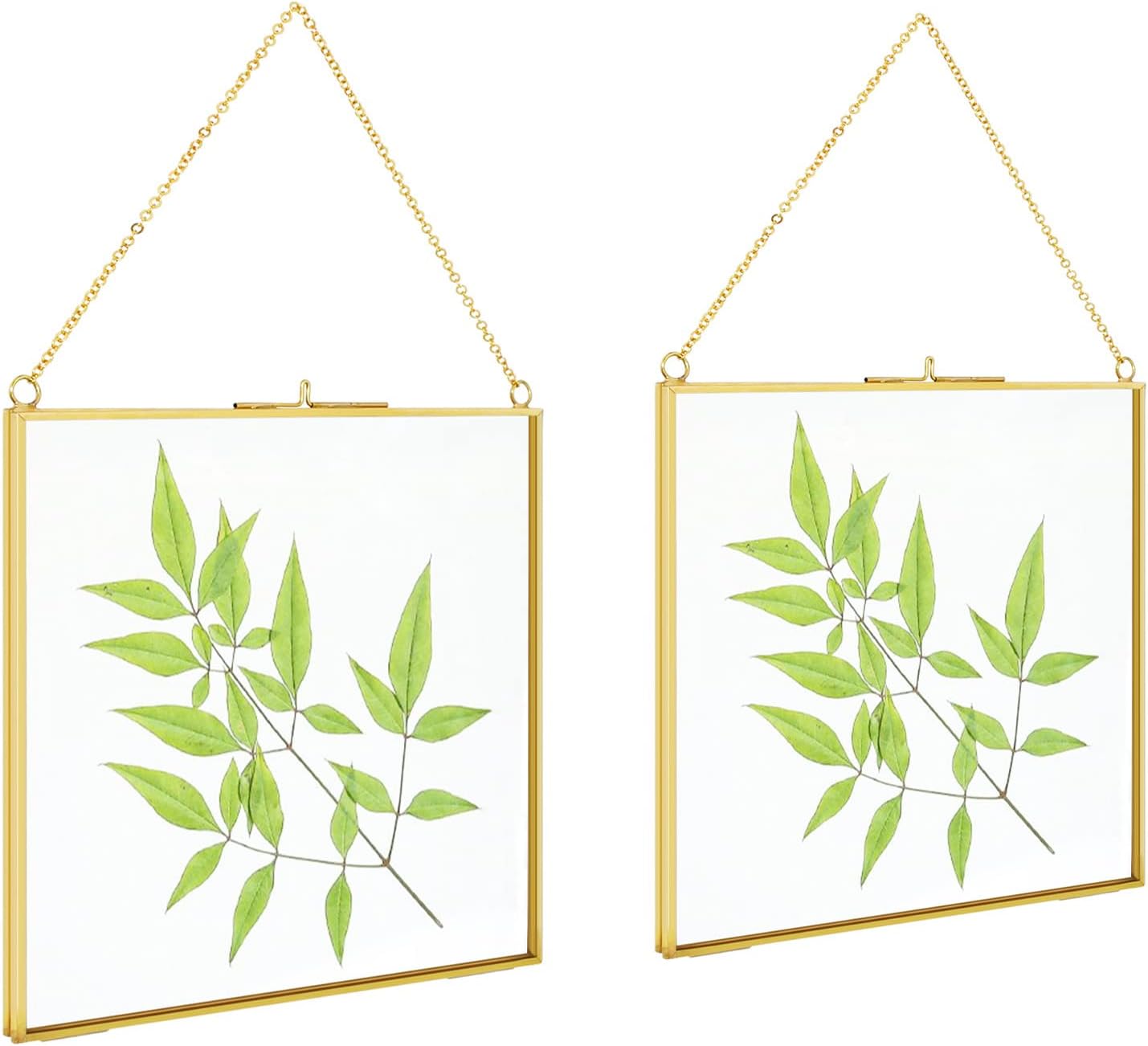 TLBTEK 2 PCS 6 inch Hanging Photo Frame, Double Glass Frame for Pressed Flowers,Clear DIY Vintage Artwork Display Frame Wall Mounted Photos Frame