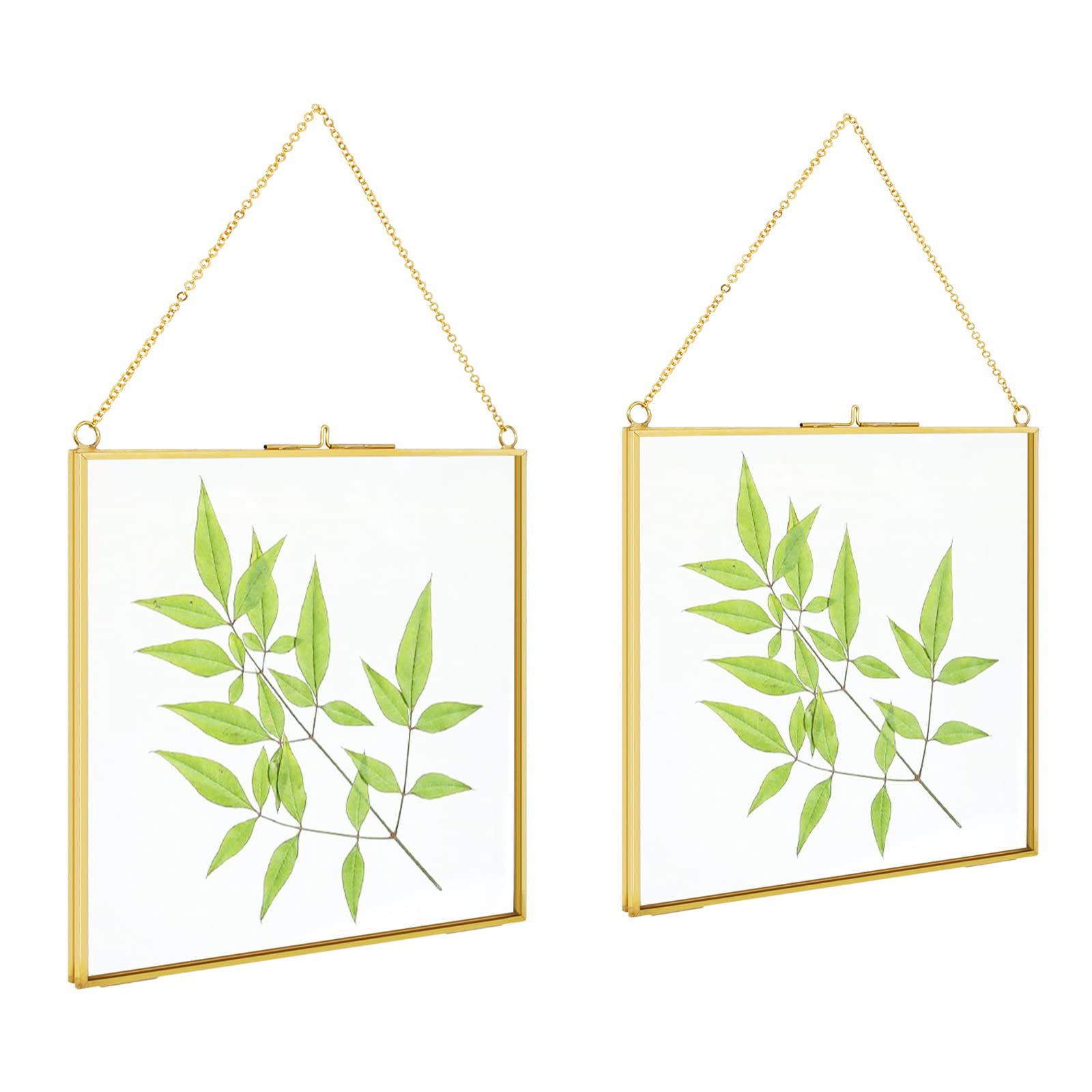 TLBTEK 2 PCS 6 inch Hanging Photo Frame, Double Glass Frame for Pressed Flowers,Clear DIY Vintage Artwork Display Frame Wall Mounted Photos Frame