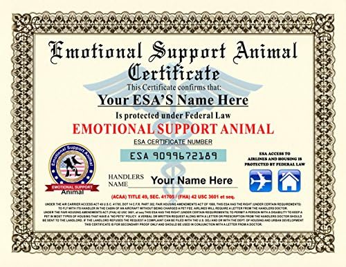 Emotional Support Animal Certificate Sites unimi it