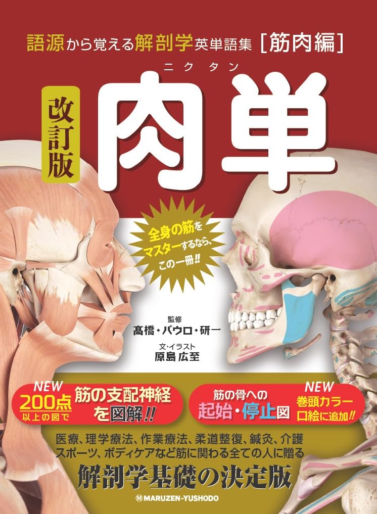 改訂版 肉単 語源から覚える解剖学英単語集[筋肉編] | 原島広至, 原島