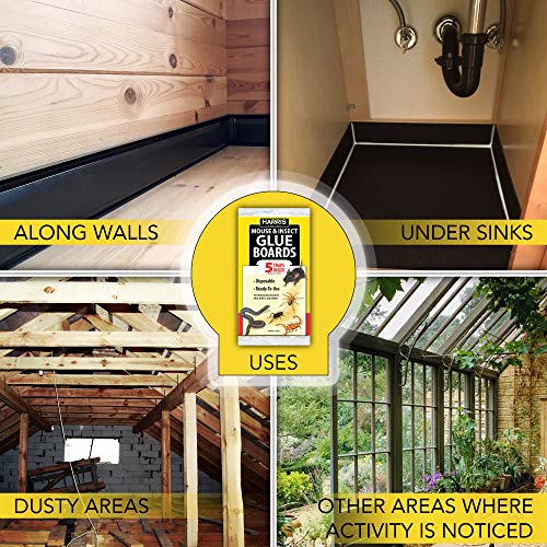 Harris Mouse & Insect Glue Boards, 5 Pre-Baited Traps #TOP3