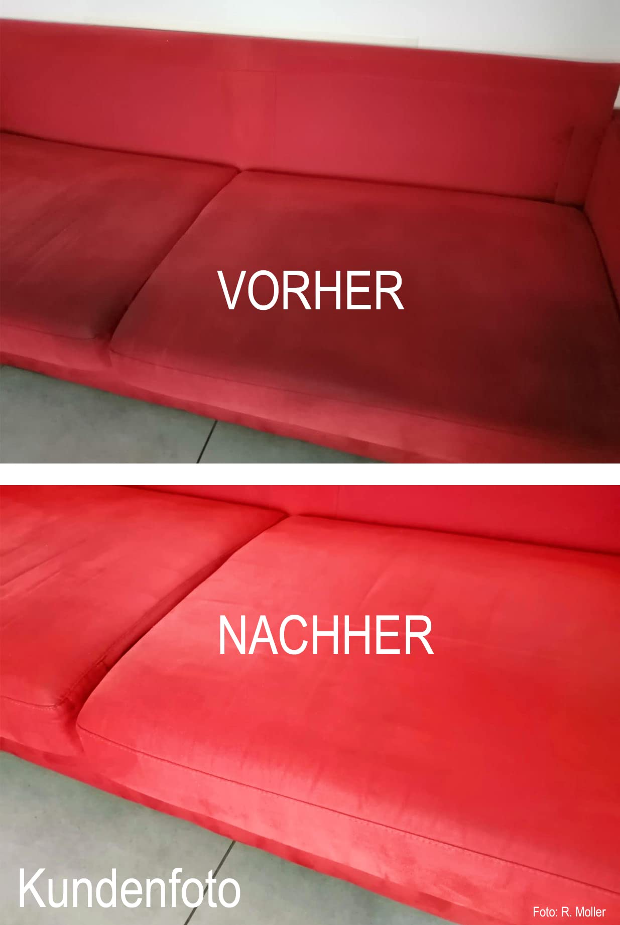 Teppich-Extraktionsmittel Concentrado 5 Litros Extraktionsmittel Limpiaalfombras Líquido Producto de Limpieza Suelos Moqueta Tapicería Auslegwaren para Profesional y Reinigungsgeräte
