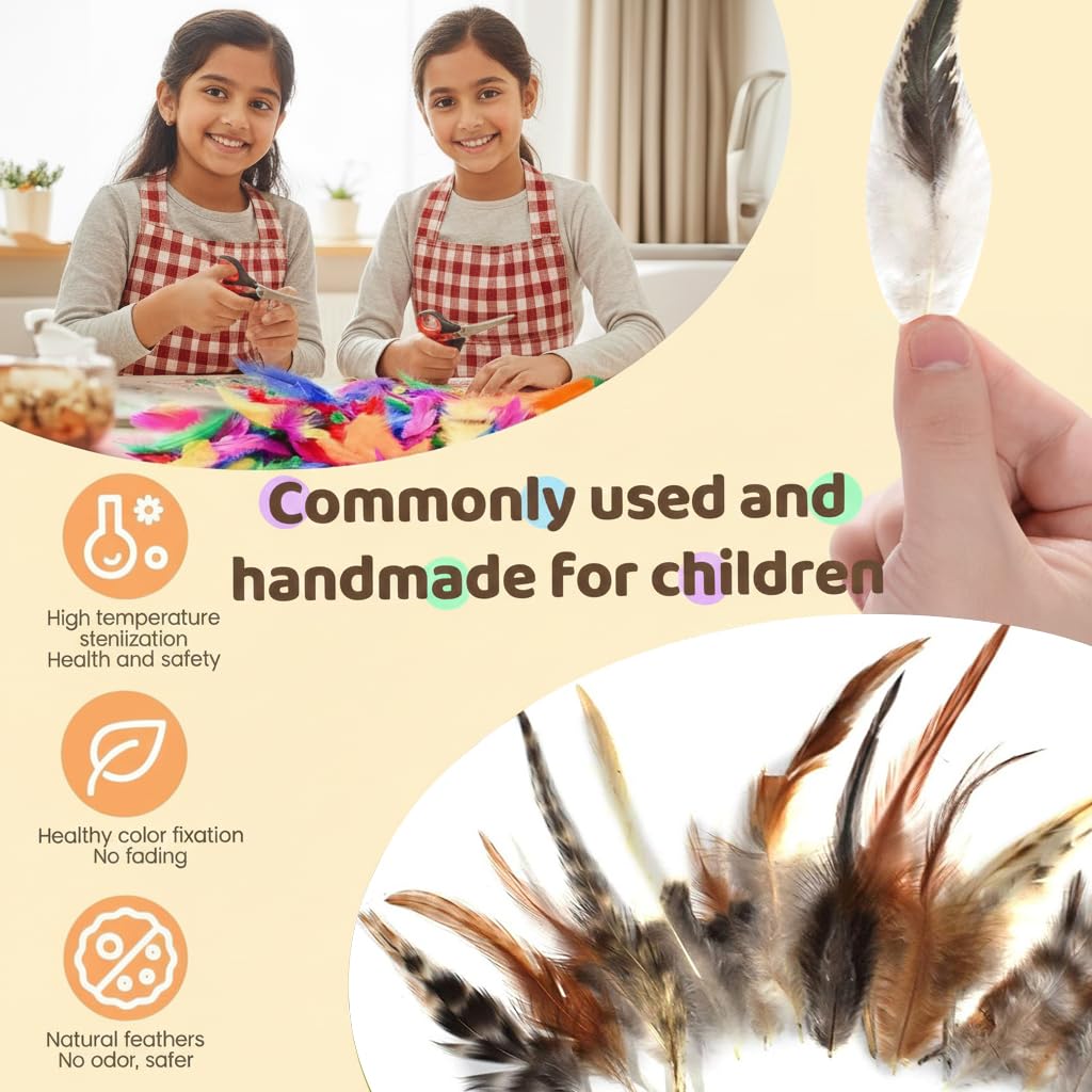 Asian Hobby Crafts Natural Dyed Feathers for Craft, Hobby Projects, Dream Catcher, Decorations & Art | Premium Wild Hen Feathers - 80 Pcs | 4-5 Inch Approx 3