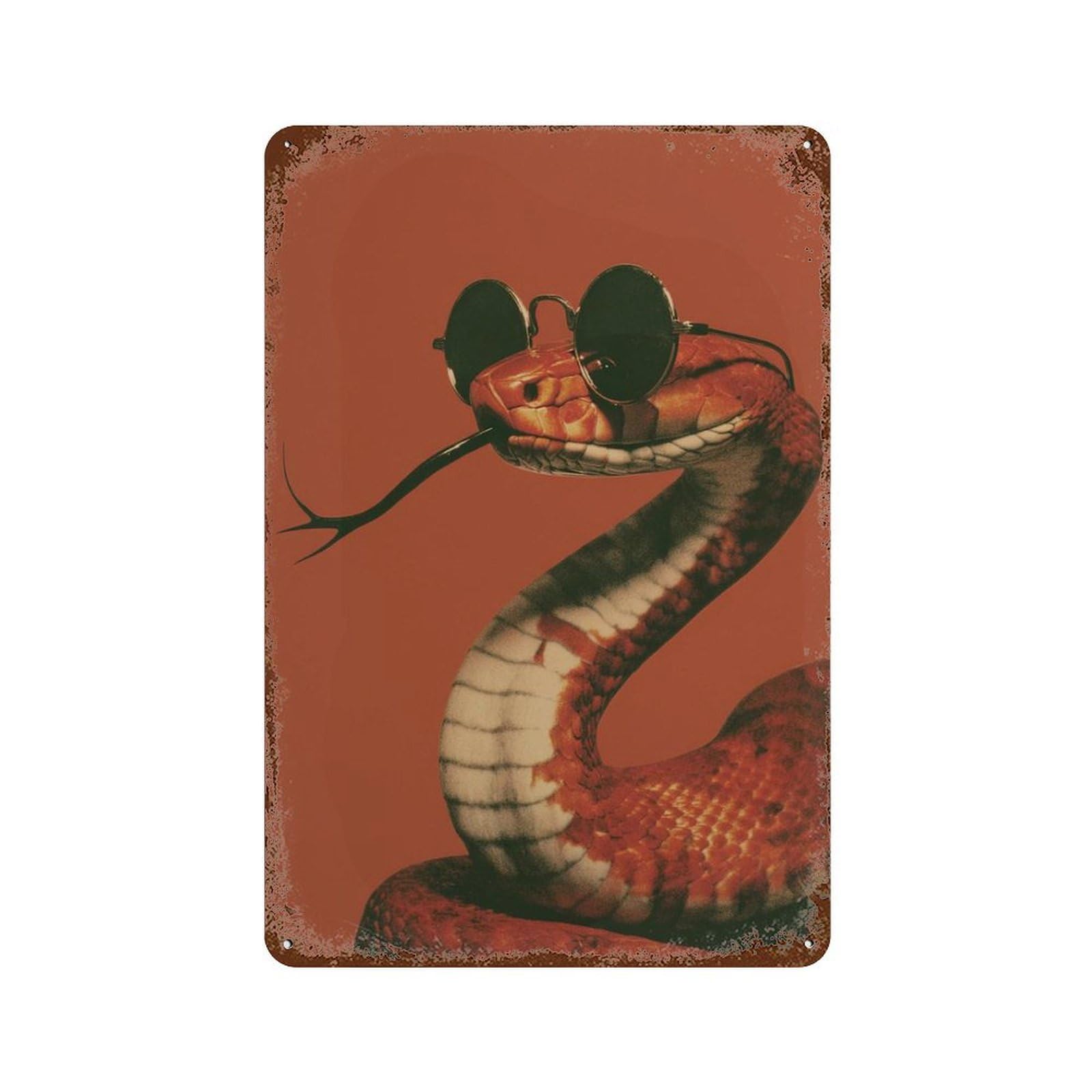 xiaoxiaoshen Snake Retro Orange Sunglasses Wall Decor Art Metal Tin Poster Modern Home Decor Art Home Bar Shop Decorations Vintage Sign 30x20cm