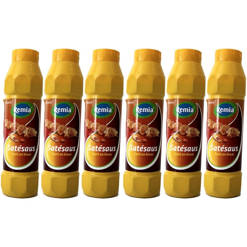 Remia Gewürz-Sauce Saté Sauce 6 x 750ml (Sate Saus)