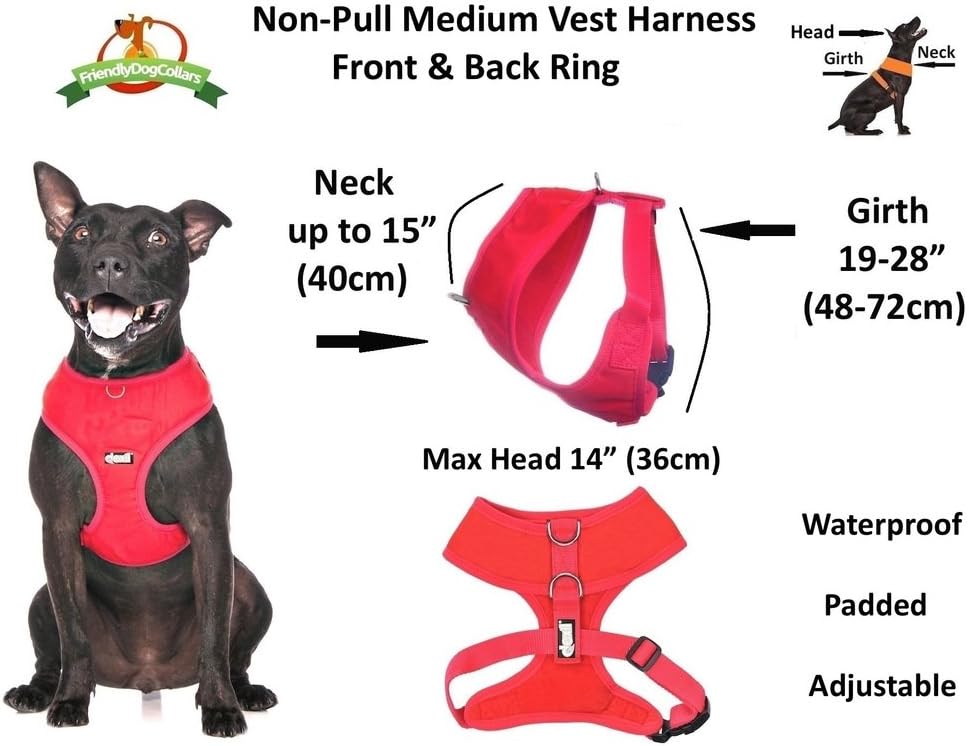 Dexil Elite Range Luxury Padded Waterproof Adjustable Back and Front Ring Non-Pull Medium Pet Dog Vest Harness (Flash Red - Image 4