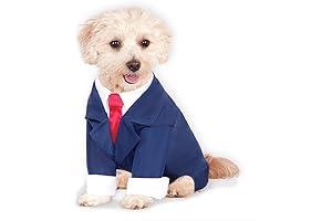 Legally Blonde Dog Costume for a Pawsome Business Look