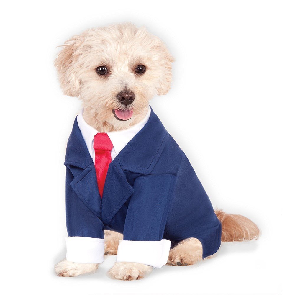 Donald Trump-style Dog Costume, Dog Businessman, Size: M