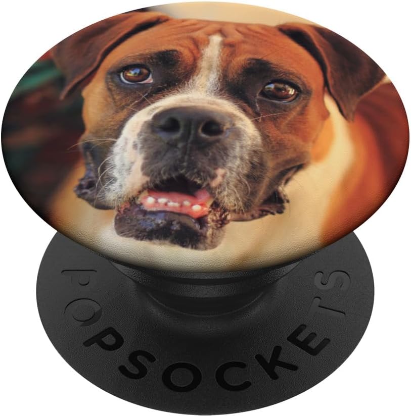 Boxer Dog PopSockets MagSafe PopGrip for iPhone