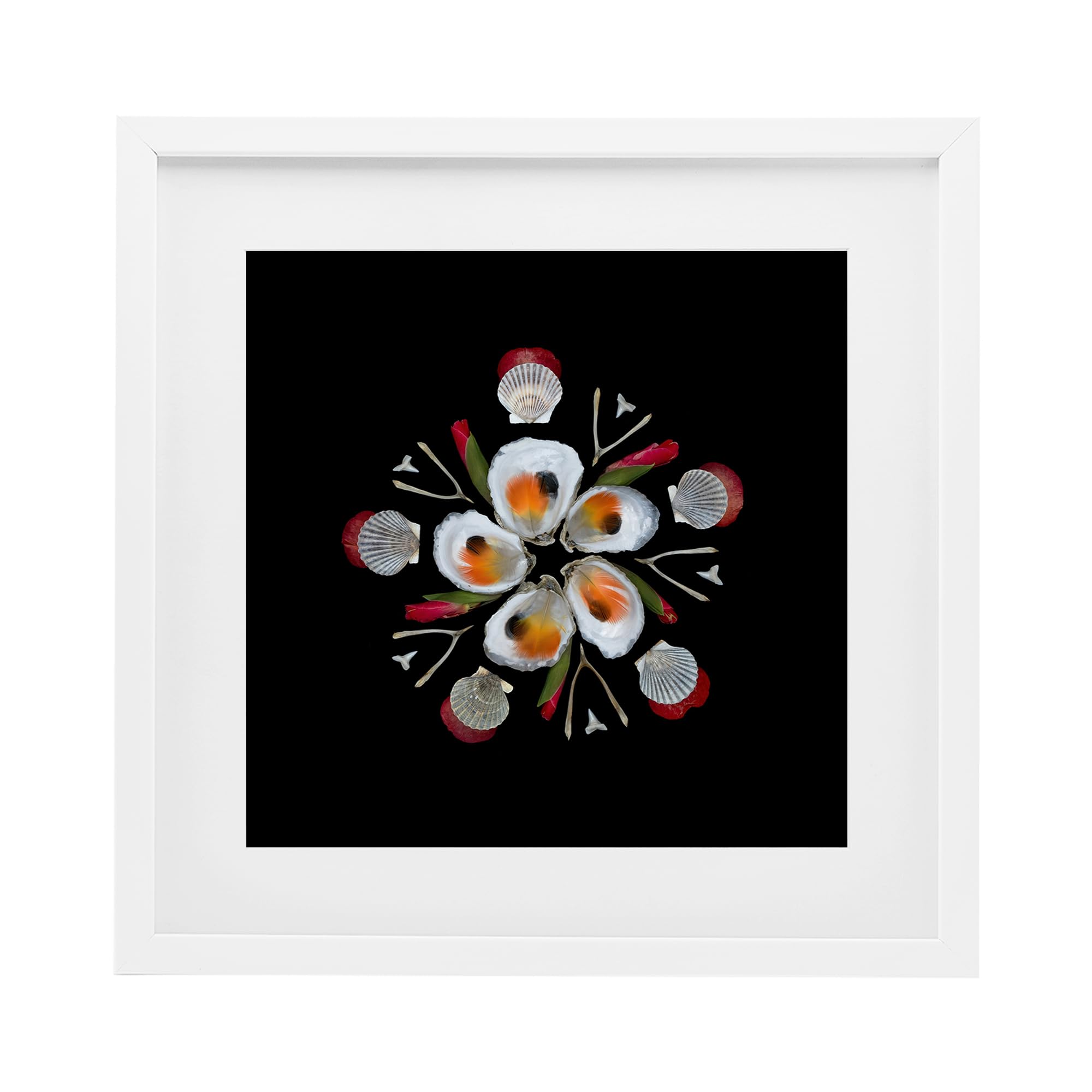 Stupell Industries Coastal White (Textured) 'Nautical Oysters Mandala'| Framed Print Under Glass
