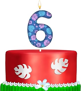 MTLEE 1 Pack Number 6 Cartoon Birthday Candle 6th Birthday Candle Numeral Leave and Flower Birthday Cake Topper 6 Candle for Cartoon Birthday Decoration Hawaii Party Supplies Favor, Pink and Blue