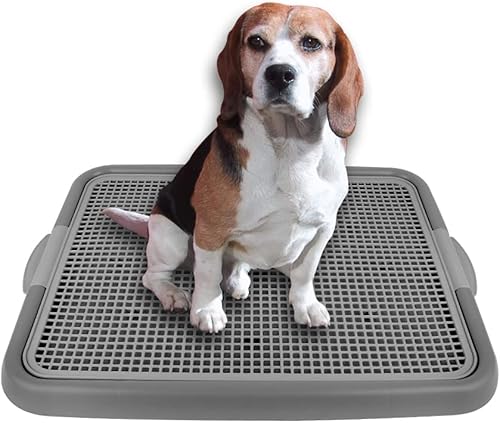 Bandeja de entrenamiento de malla para cachorros y perros de tamaño pequeño, 20.3 x 16.3 x 1.2 pulgadas (gris + gris)
