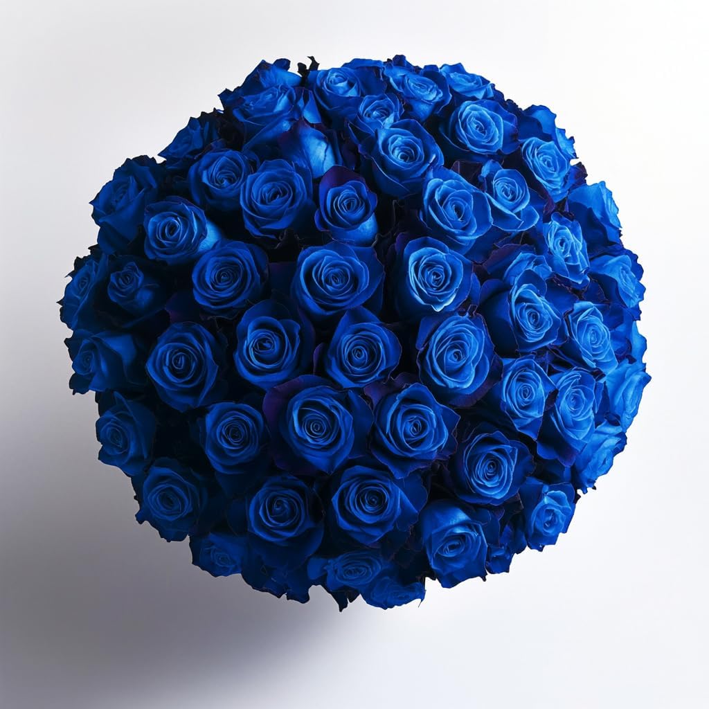 GlobalRose 75 Blue Roses Bouquet - Responsibly Sourced Roses Fresh Flowers - Hand-Picked Flowers Fresh Bouquet for Graduation, Anniversary, Birthday & Special Occasions (3 Bunches of 25 Stems)