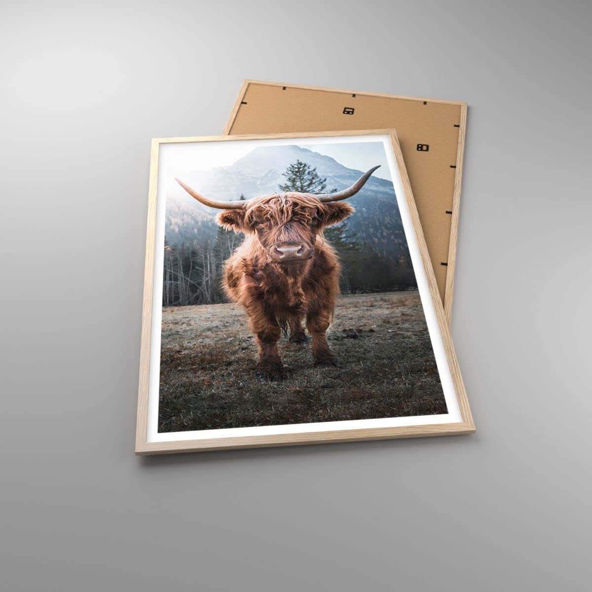 ARTTOR Poster Cadre Chêne 61x91 cm Affiche Nature Animaux - 5188 - P2N