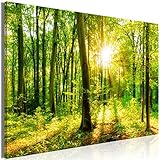 XXXL-Format: ca.160x80 cm (BxH), ultra großes Wandbild zur Selbstmontage, ca. 3 cm Galerierand, inkl. Montageset