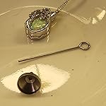 Review Image by Pug Mama Pug Mama