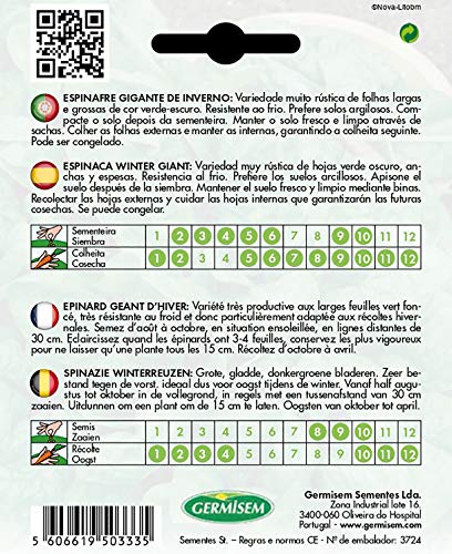 Germisem Spinat WINTER GIANT, mehrfarbig, EC7020