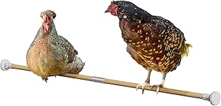 Omlet Chicken Perch | Enhance Your Outdoor Chickens Run with a Fun Accessory | Naturally Weather Resistant Perch with an Innovative Bracket Design | Eucalyptus Wood | 6ft
