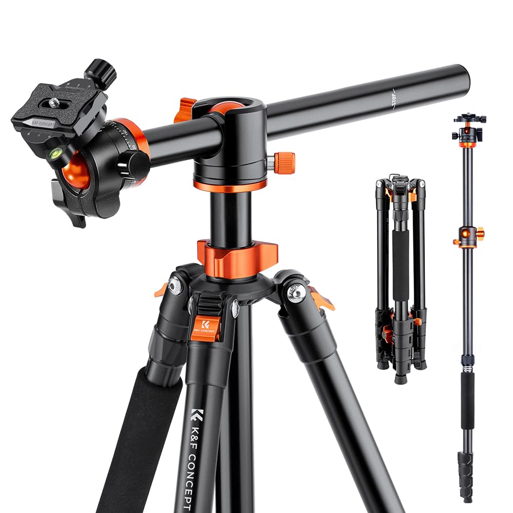 Trépied Tacklife Pour Smartphone Et Appareil Photo - Rotule 360°, Monopod Inclus