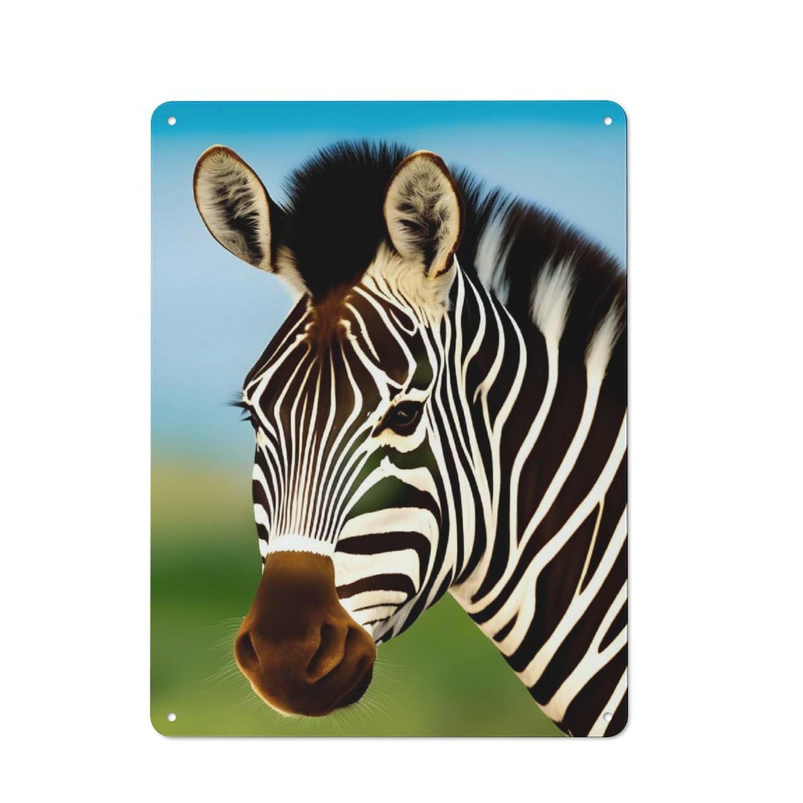 Junmoney Style-12 Close Up Zebra In A Field Retro Metal Wall Decor 40X30cm, Metal Sign For Pub, Home Bar, Shed Or Man Cave, For Relaxed Wall Styling