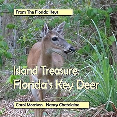 Island Treasure