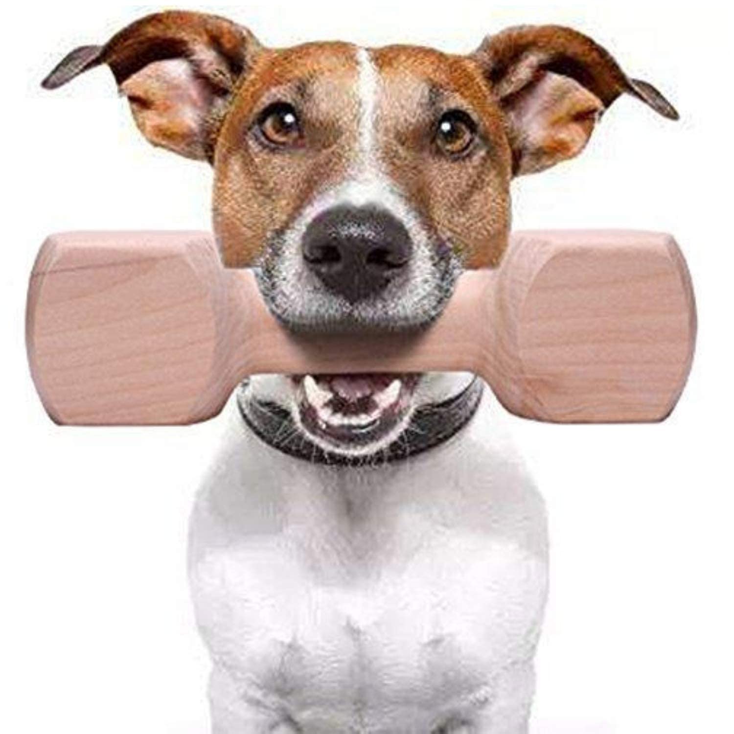 Wooden DumbbelPups&Pets Chew Toy Suitable for Dogs and Puppies by 100% Natural Solid Wood Training Tool - Keeps Teeth and Gums Healthy Oral Care (B0CLZNLHKC) Amazon Price History, Amazon Price Tracker