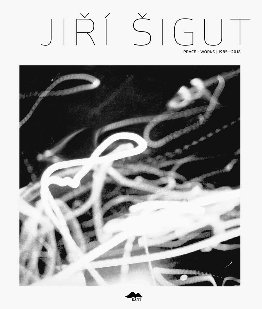 Jiri Šigut: Works 1985-2018 Beau Livre d'Art de Collection Édition Reliée Épurée