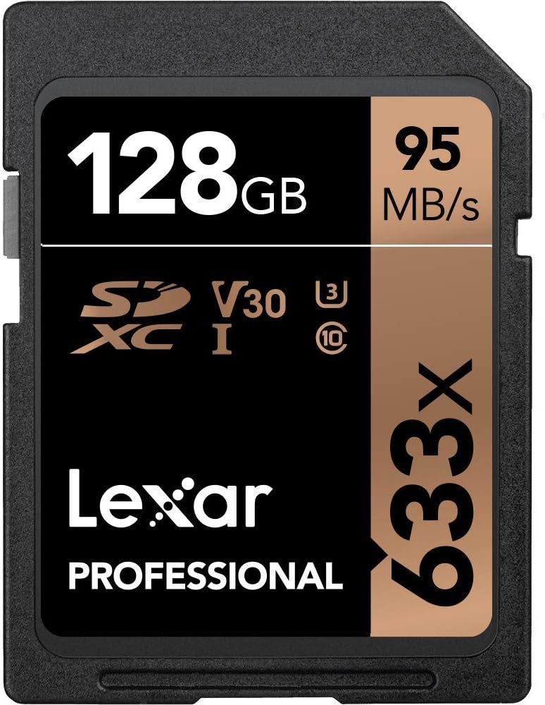scheda di memoria sandisk per fotocamera 64gb