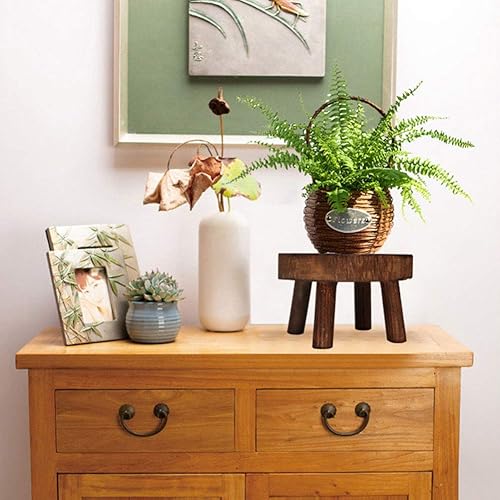 Miniatura 7 de Soporte elevador de plantas de madera, mini taburete redondo para bonsái, estante de exhibición en maceta para oficina, comedor, decoración interior