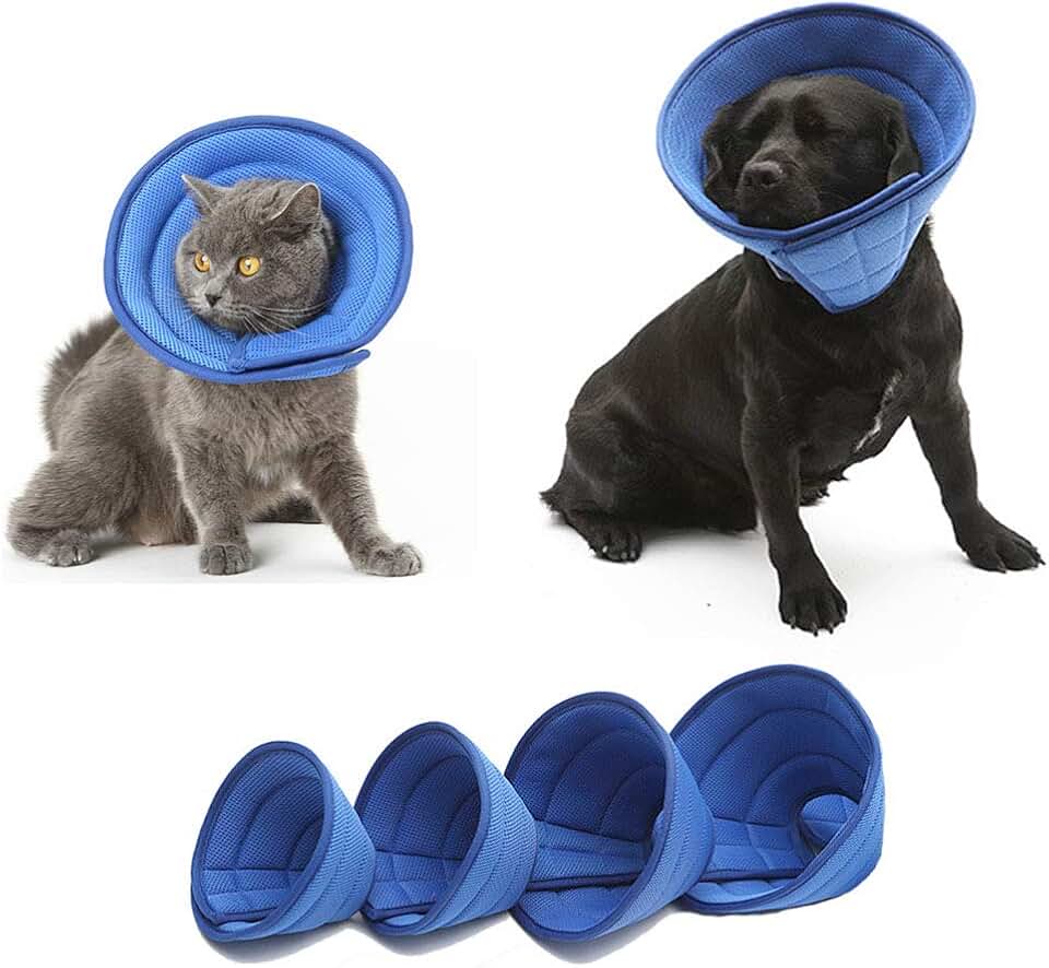 Amazon.co.uk Elizabethan Collar for Dogs