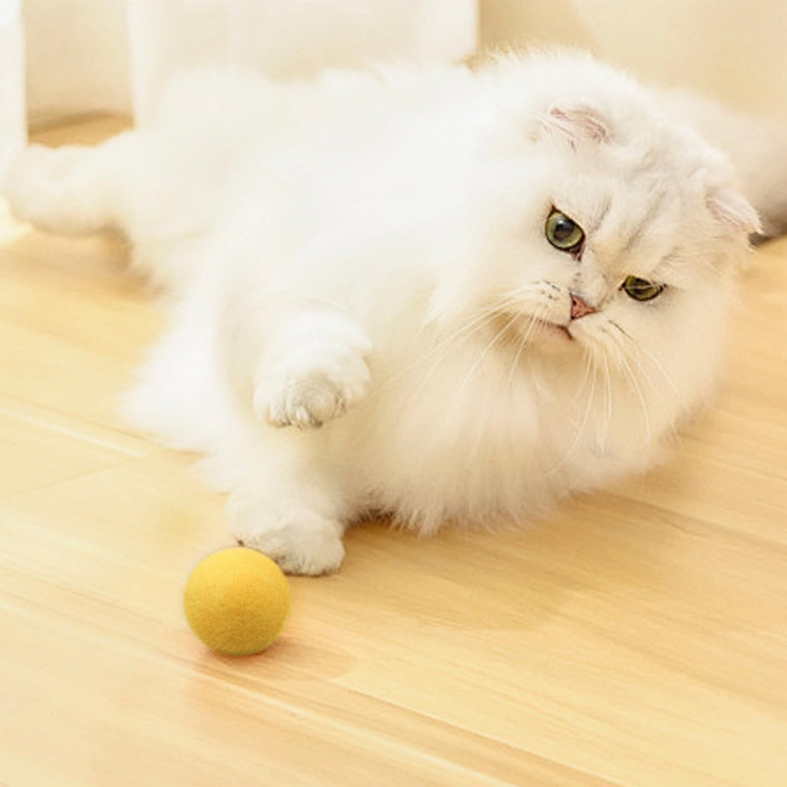 HSYTEK Lot de 100 boules en feutre colorées pour chats, pompons