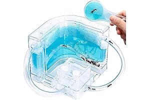 NAVADEAL Ant Farm Castle 2.0 | Study Harvester Ants' Behavior at Home & School!