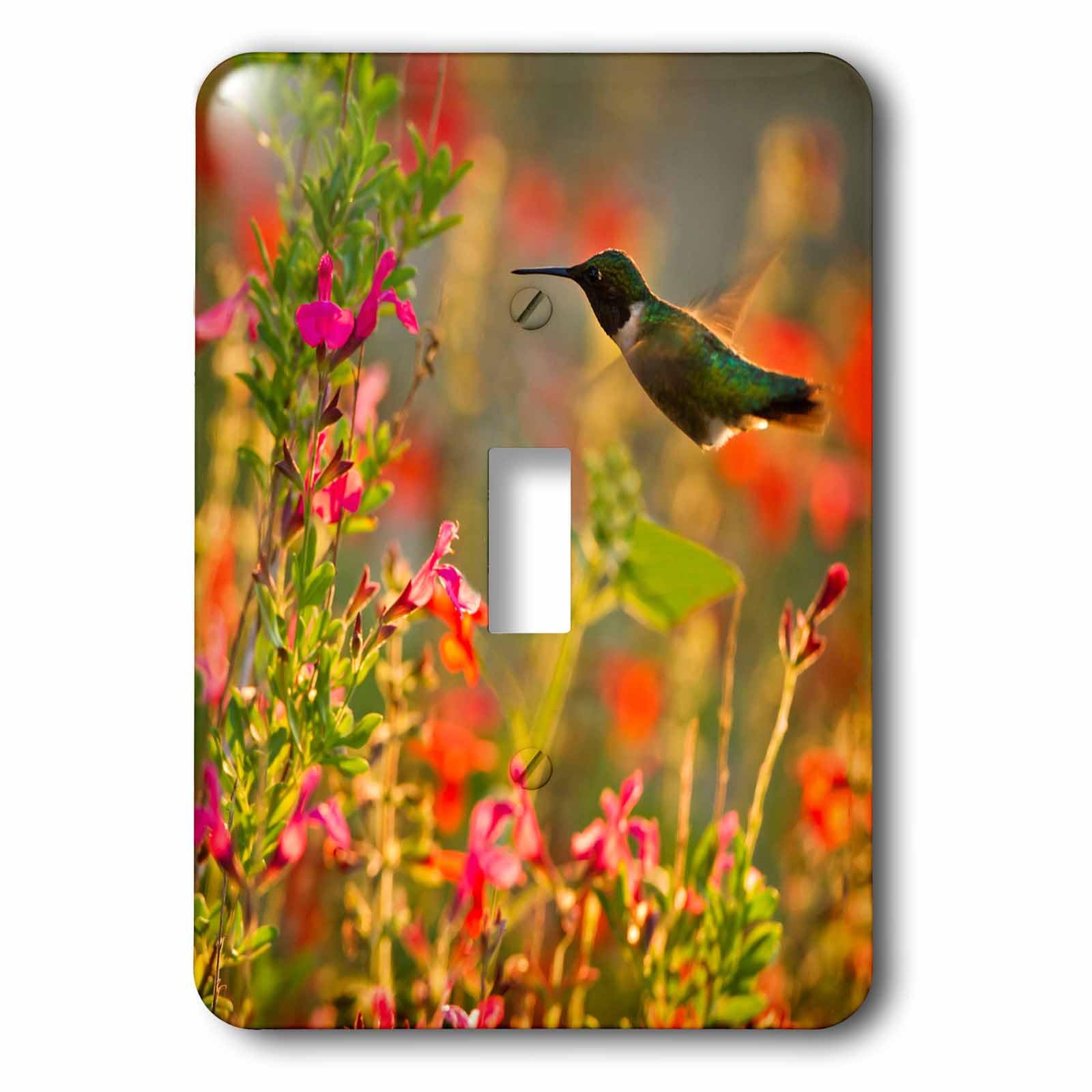 Interrupteur à bascule colibri design robuste et couleurs éclatantes