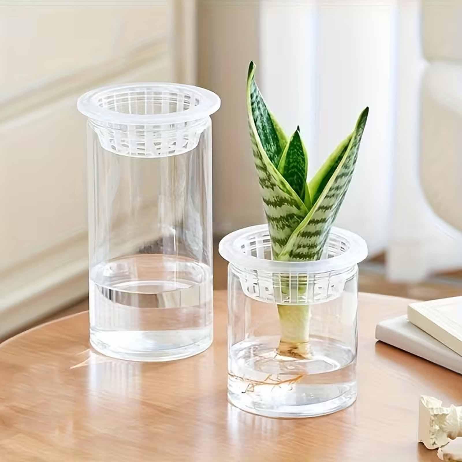 Amazon.co.jp: predolo ネットカップ、鉢、植物栽培バスケット、水耕 