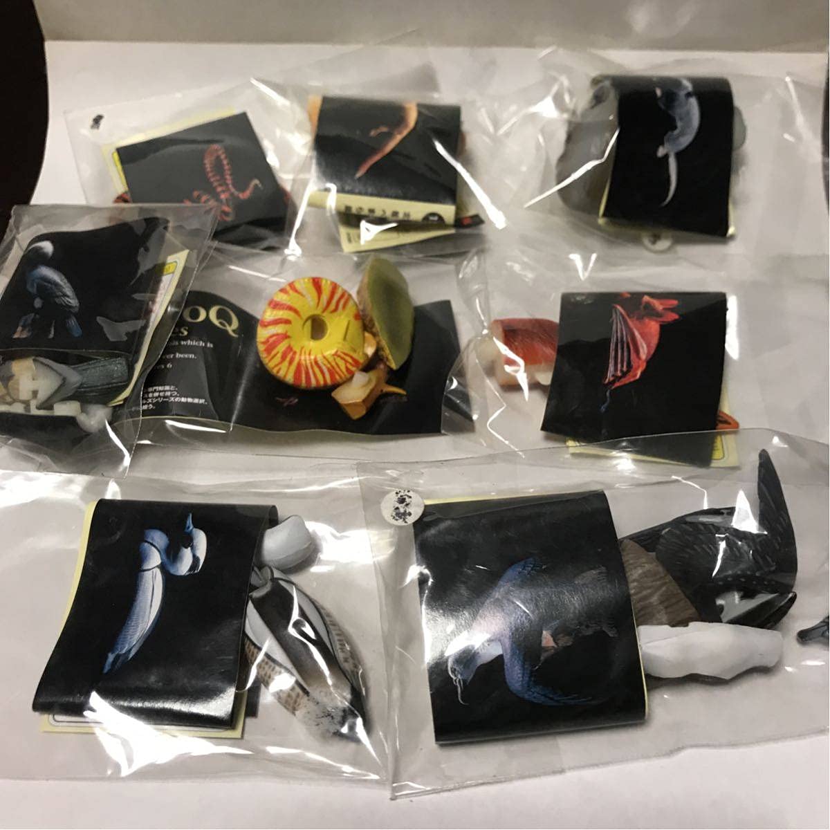 Amazon.co.jp: チョコQ choco Q ジャパニーズアニマルシリーズ 海洋堂