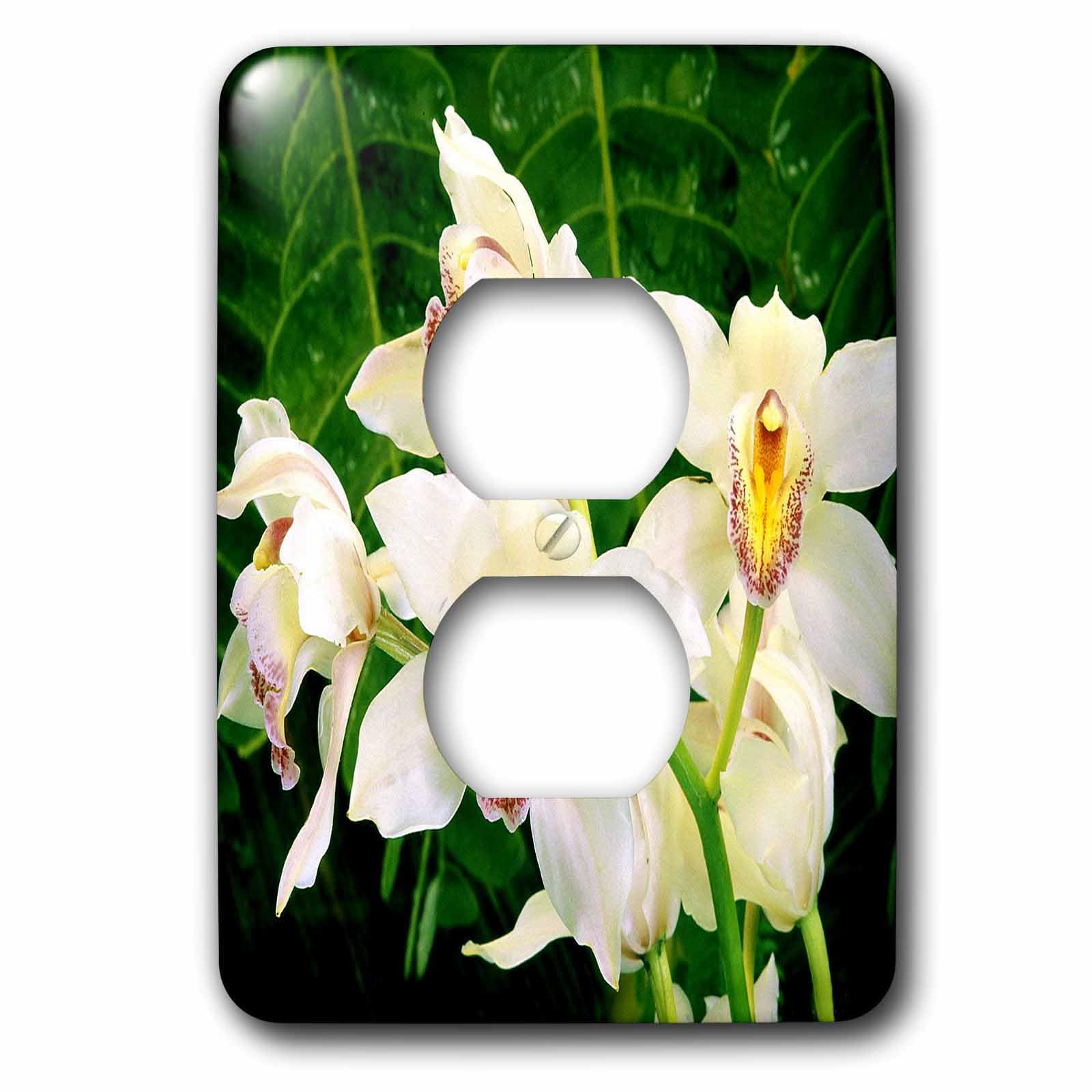 3dRose lsp_9302_6 Orchidées blanches cache double prise murale décorative 2 sorties