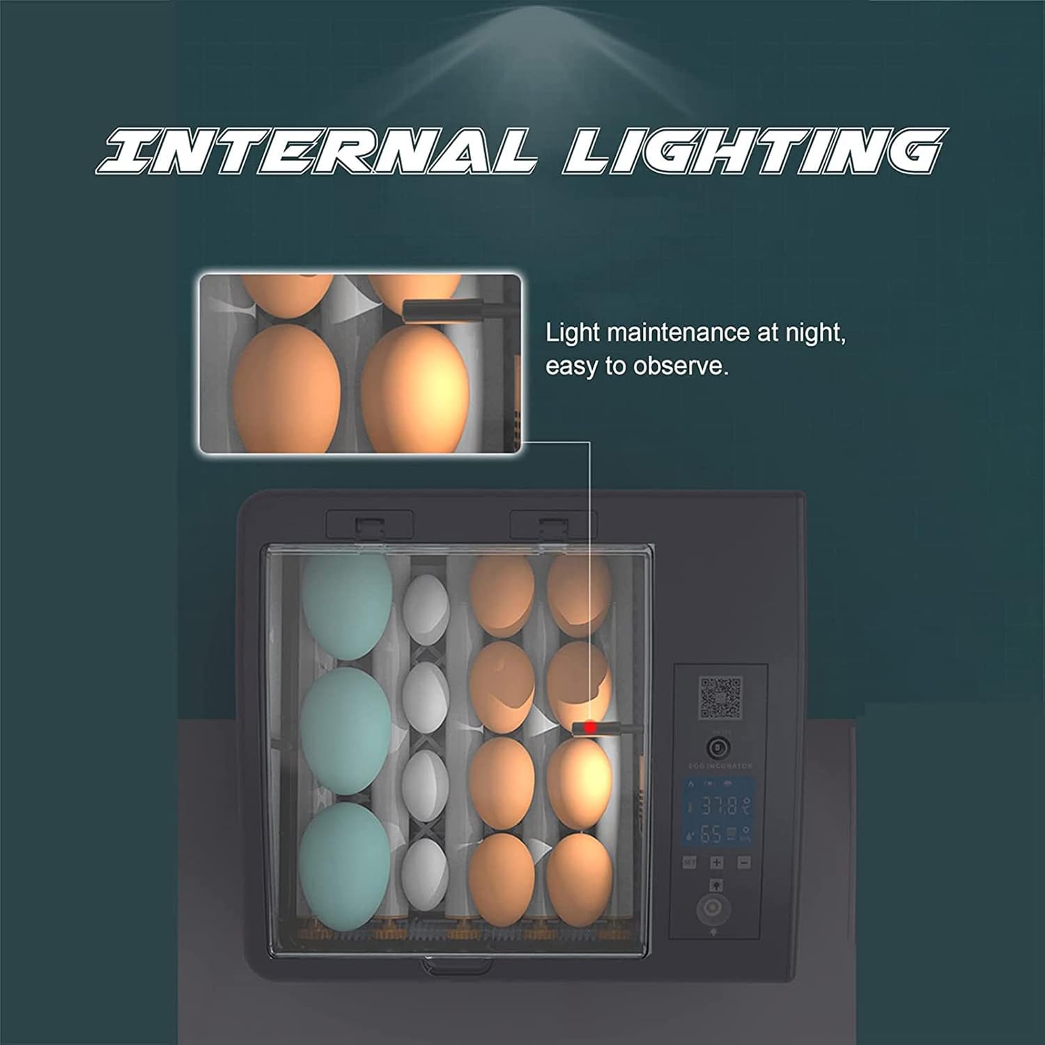Incubator with internal lighting illuminating eggs for observation.