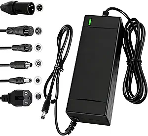 SGS Certified 54.6V 2A Fast Electric Bicycle Charger for 48V E-bike Battery