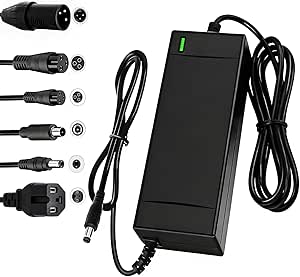 SGS Certified 54.6V 2A Fast Electric Bicycle Charger for 48V Ebike Battery