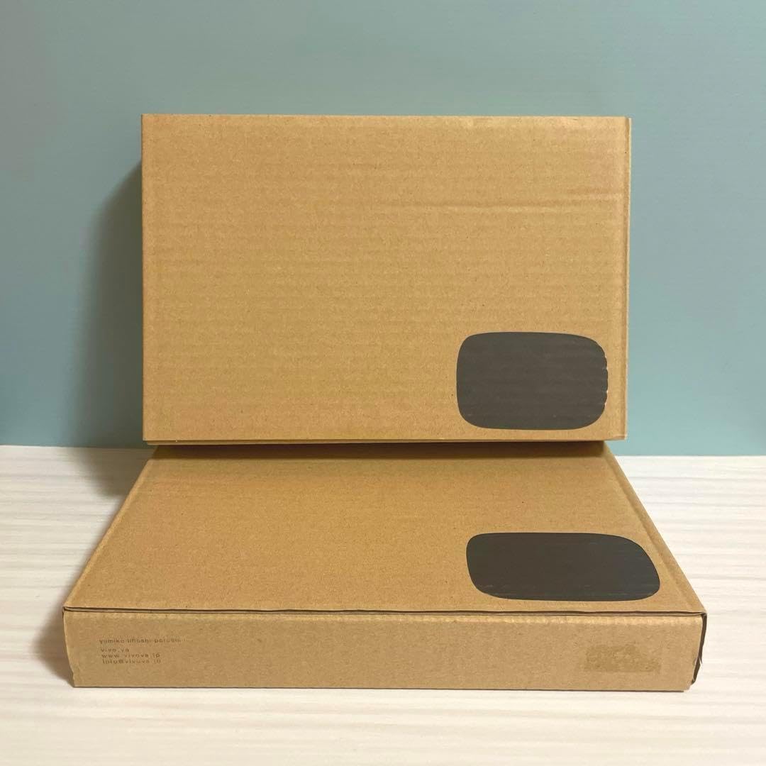 イイホシユミコ レクタングル kaku ツヤなし　2枚セット rectangle／長角皿 （ユミコ イイホシ ポーセリン／yumiko