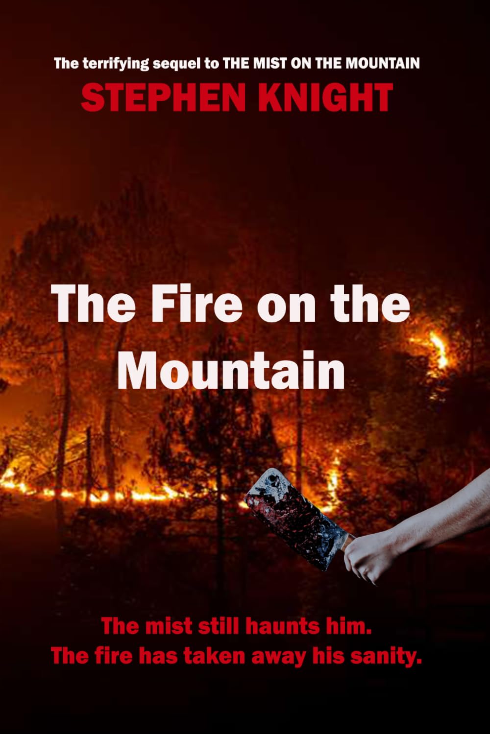 The Fire On The Mountain: 2 (The Garw Valley Murders)