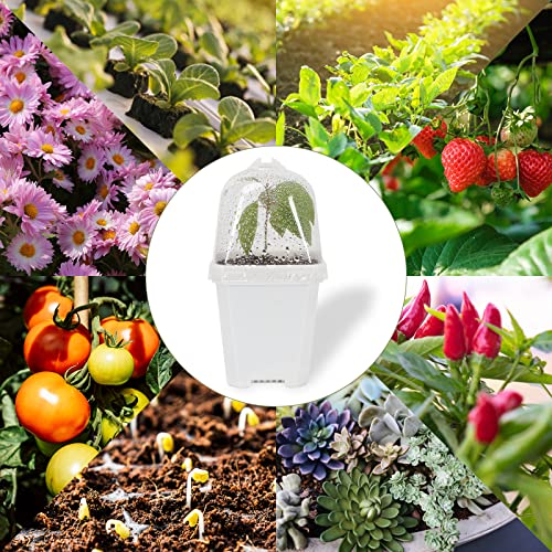 Unaoiwn 3” Plant Nursery Pots With Humidity Dome, 40 Pack White Plastic Gardening Pots Seed Starting Pot, Flower Planting Container Cup For Seedlings,Vegetables,Succulents #TOP5